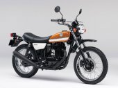 2013 Kawasaki 250TR photo
